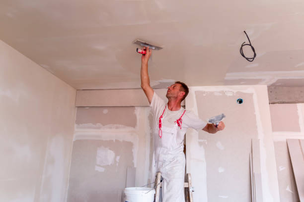 Best Touch-Up Painting  in Jarrell, TX